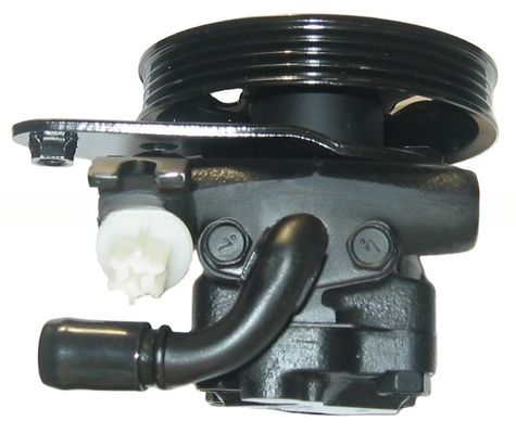 21G72145 Bomba de direção hidráulica para Nissan Maxima A31 A32 Substituição perfeita