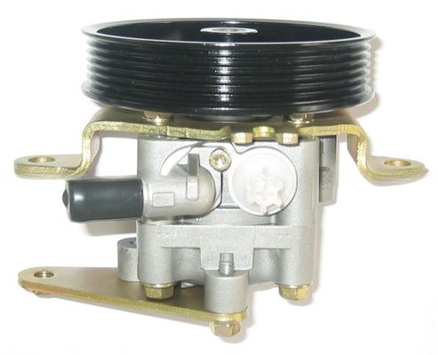 49110-8H305 Bomba de direção hidráulica Para Nissan 2001-2013 Ano X-Trail T30