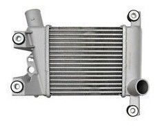 Nissan Navara D22 pegara NP300 2 5 refrigerador intermediário de Di DCi TDI YD25DDTi 2002-14461-VK50A